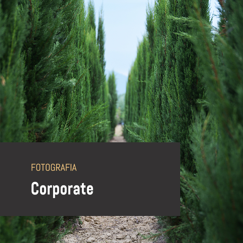 foto corporate